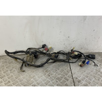 Cablaggio Impianto Elettrico Honda Hornet 600 Dal 2005 Al 2006  1744030311307