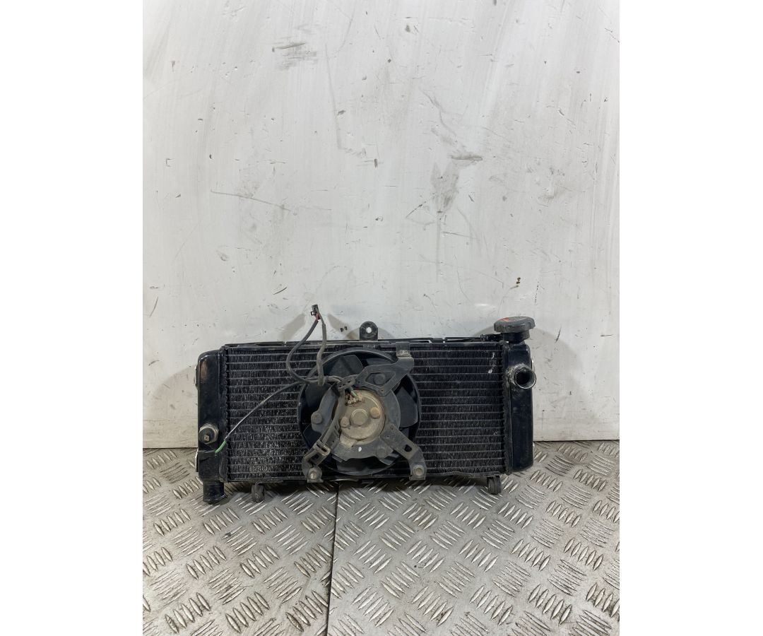 Radiatore Con Elettroventola Honda Hornet 600 Dal 2005 Al 2006  1744032649477