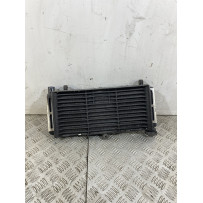 Radiatore Con Elettroventola Honda Hornet 600 Dal 2005 Al 2006  1744032649477