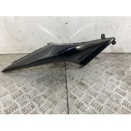 Carena Fianchetto Posteriore Destro Dx Kawasaki Ninja 250R Dal 2007 Al 2017  1744106363469