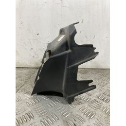 Carena Griglia Radiatore Aprilia Sr Factory dal 2007 al 2011  1744193162211