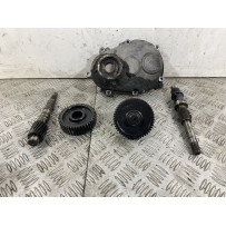 Pacco ingranaggi trasmissione Qooder Quadro3 Dal 2015 Al 2018  1744211111450