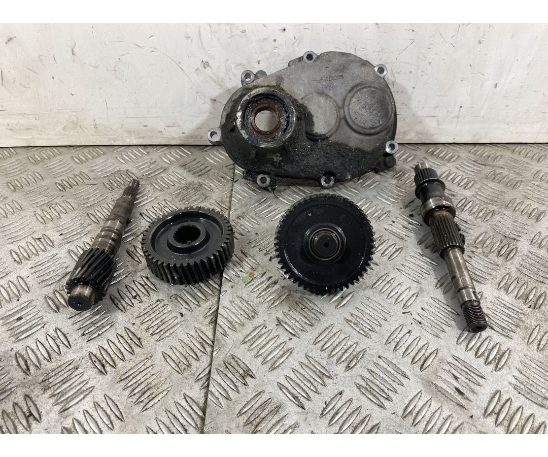 Pacco ingranaggi trasmissione Qooder Quadro3 Dal 2015 Al 2018  1744211111450