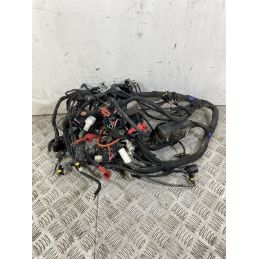 Cablaggio Impianto Elettrico Benelli TRK 502 Dal 2017 al 2019  1744296125458