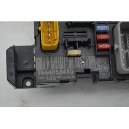 Body Computer Citroen C3 Dal 2002 al 2009 Cod 9664055480  1744365792772