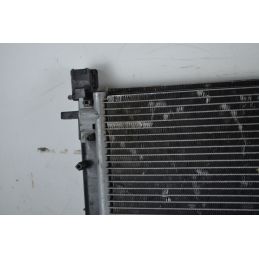 Radiatore Acqua Renault Clio Dal 2012 al 2019 Cod 214100078R  1744634359781