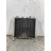Radiatore Aprilia Scarabeo 500 dal 2007 al 2012  1744709385226