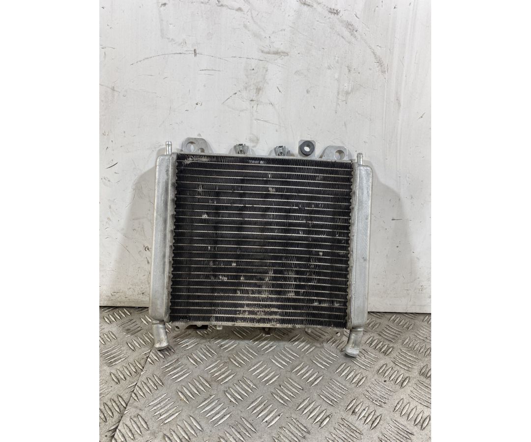 Radiatore Aprilia Scarabeo 500 dal 2007 al 2012  1744709385226