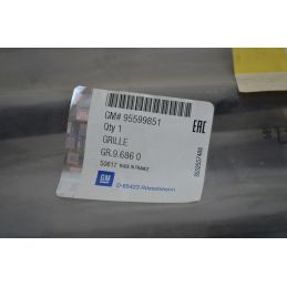 Griglia Divisorio Interna Opel Grandland X Dal 2017 in poi Cod 95599851  1744958227377