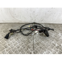 Cablaggio Impianto Elettrico Over B3 125 Dal 2013 al 2020  1745327647697