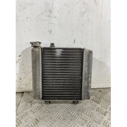 Radiatore Honda S-Wing 150 dal 2007 al 2011  1745328700421