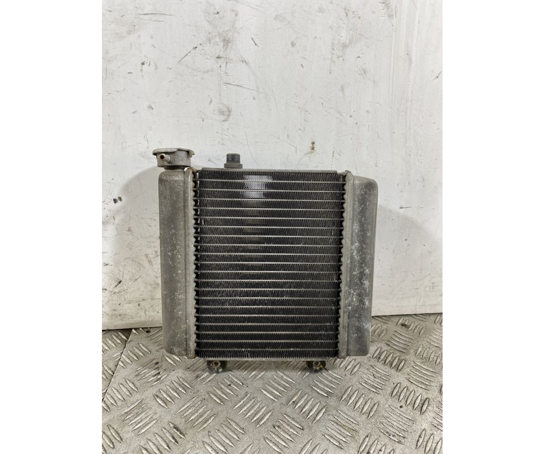 Radiatore Honda S-Wing 150 dal 2007 al 2011  1745328700421