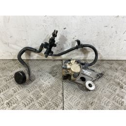 Impianto Frenante Posteriore Honda Hornet 600 Dal 2005 Al 2006  1745480324749