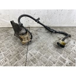 Impianto Frenante Posteriore Honda Hornet 600 Dal 2005 Al 2006  1745480324749