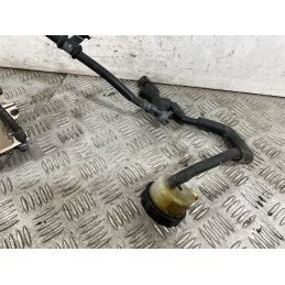 Impianto Frenante Posteriore Honda Hornet 600 Dal 2005 Al 2006  1745480324749