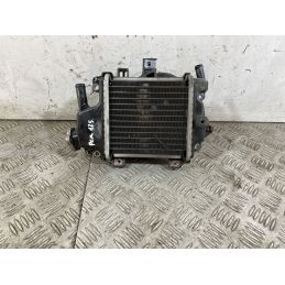Radiatore Honda PCX 125 dal 2012 al 2014  1745489407139