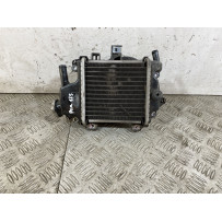 Radiatore Honda PCX 125 dal 2012 al 2014  1745489407139
