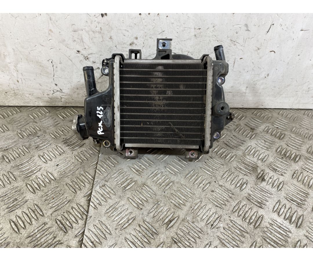Radiatore Honda PCX 125 dal 2012 al 2014  1745489407139