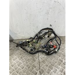 Cablaggio Impianto Elettrico Honda PCX 125 / 150 dal 2009 al 2016  1745834952543