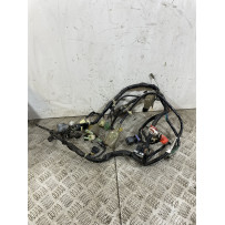 Cablaggio Impianto Elettrico Honda PCX 125 / 150 dal 2009 al 2016  1745834952543