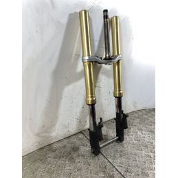 Forcella Honda Hornet 600 Dal 2005 Al 2006  1745932490381