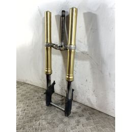 Forcella Honda Hornet 600 Dal 2005 Al 2006  1745932490381