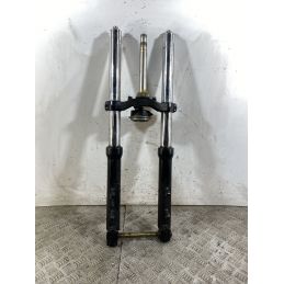 Forcella Triumph Baby Speed 600 Dal 2002 al 2003  1745933048116