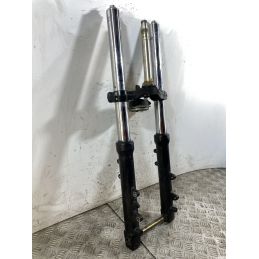 Forcella Triumph Baby Speed 600 Dal 2002 al 2003  1745933048116