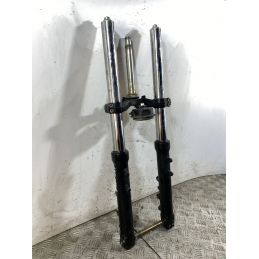 Forcella Triumph Baby Speed 600 Dal 2002 al 2003  1745933048116