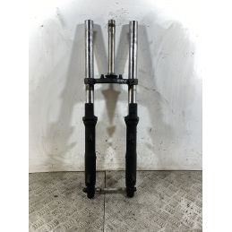 Forcella Kawasaki Ninja 250R Dal 2007 Al 2017  1745998464340