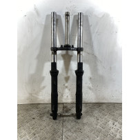 Forcella Kawasaki Ninja 250R Dal 2007 Al 2017  1745998464340