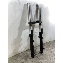 Forcella Kawasaki Ninja 250R Dal 2007 Al 2017  1745998464340