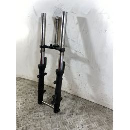 Forcella Kawasaki Ninja 250R Dal 2007 Al 2017  1745998464340