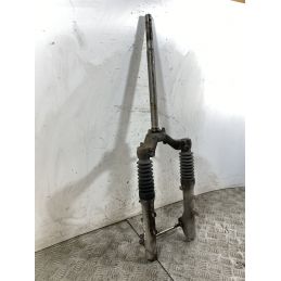 Forcella Kymco Yup 250 Dal 2002 Al 2005  1746001144204