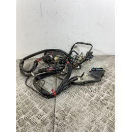 Cablaggio Impianto Elettrico Malaguti Password 250 dal 2008 al 2011  1746544066278