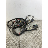 Cablaggio Impianto Elettrico Malaguti Password 250 dal 2008 al 2011  1746544066278