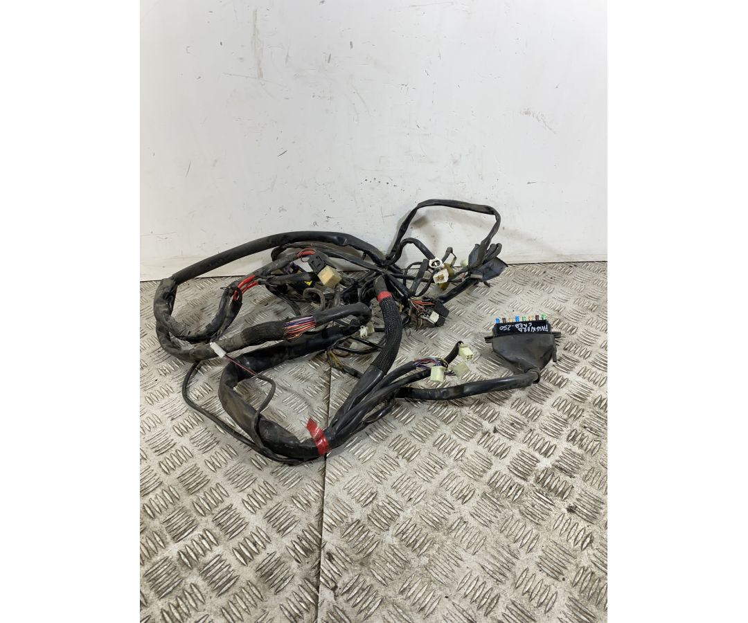 Cablaggio Impianto Elettrico Malaguti Password 250 dal 2008 al 2011  1746544066278