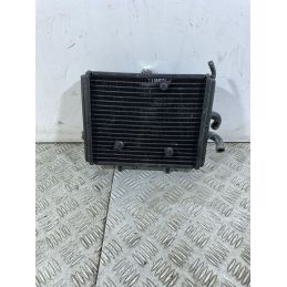 Radiatore Piaggio Carnaby Cruiser 300 Dal 2009 Al 2012  1746601477689