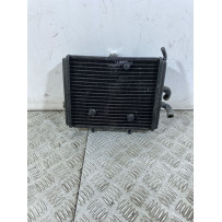 Radiatore Piaggio Carnaby Cruiser 300 Dal 2009 Al 2012  1746601477689