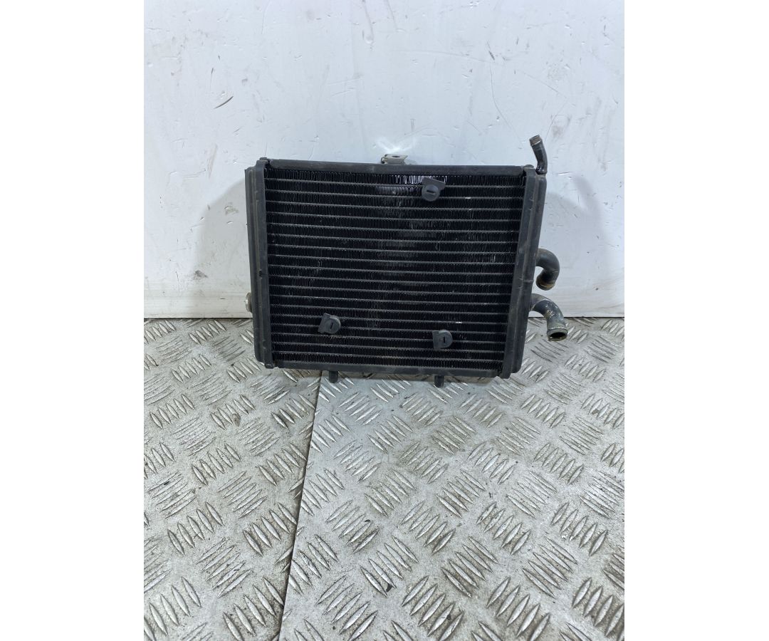Radiatore Piaggio Carnaby Cruiser 300 Dal 2009 Al 2012  1746601477689
