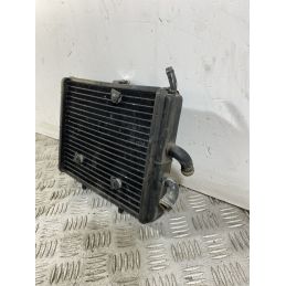 Radiatore Piaggio Carnaby Cruiser 300 Dal 2009 Al 2012  1746601477689