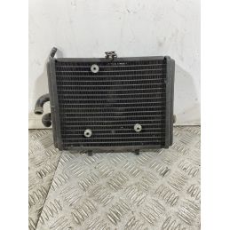 Radiatore Piaggio Carnaby Cruiser 300 Dal 2009 Al 2012  1746601477689