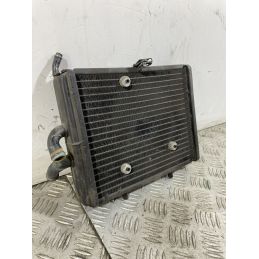 Radiatore Piaggio Carnaby Cruiser 300 Dal 2009 Al 2012  1746601477689