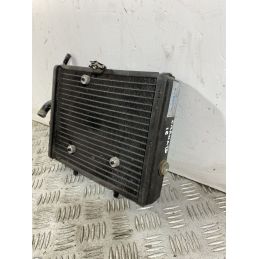Radiatore Piaggio Carnaby Cruiser 300 Dal 2009 Al 2012  1746601477689