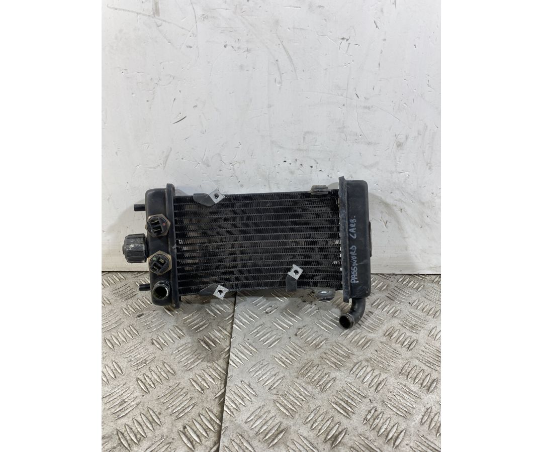 Radiatore Malaguti Password 250 Carburatore dal 2008 al 2011  1746601548785