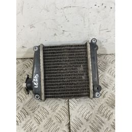 Radiatore Honda Lead 110 dal 2009 al 2011  1746622652959