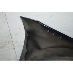 Parafango anteriore SX Mercedes Classe ML W164 Dal 2005 al 2012 Cod A1648810101  1746777424845