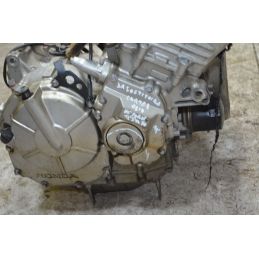 Blocco motore Honda Hornet 600 Dal 2005 al 2006 Cod PC25E  1746783440204