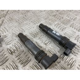 Set 4 Bobine Accensione Triumph Baby Speed Dal 2002 al 2003  1747061808488