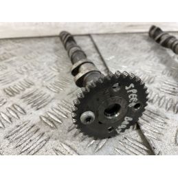 Coppia Alberi A Camme Triumph Baby Speed Dal 2002 al 2003  1747062465918